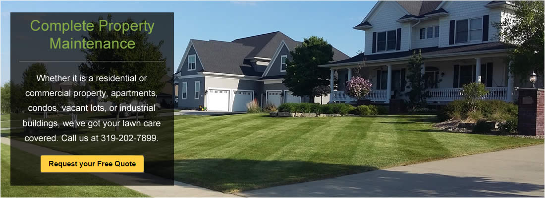 Lawn Care and Maintenance